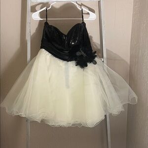 Elegant Black and Cream  Dress